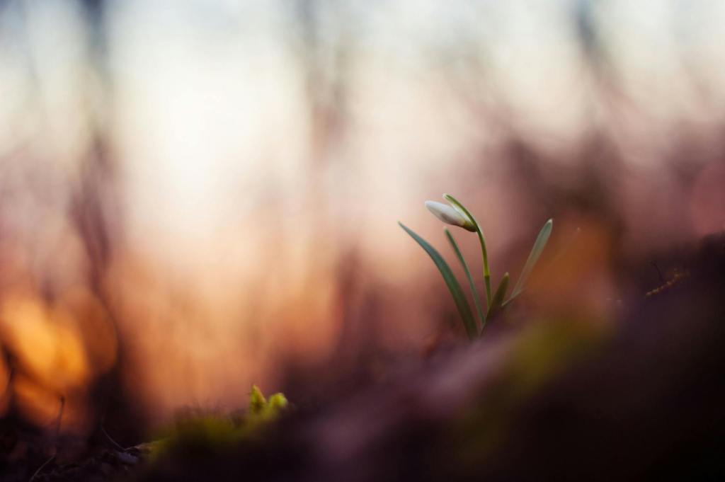 When Life Gets Full (An Update About Balance After a Busy 2&nbsp;Weeks)