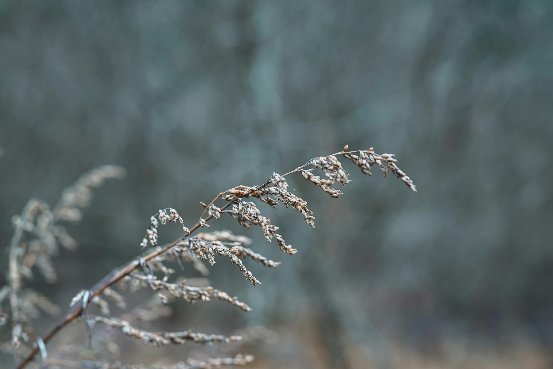 A January Gentle Reminder