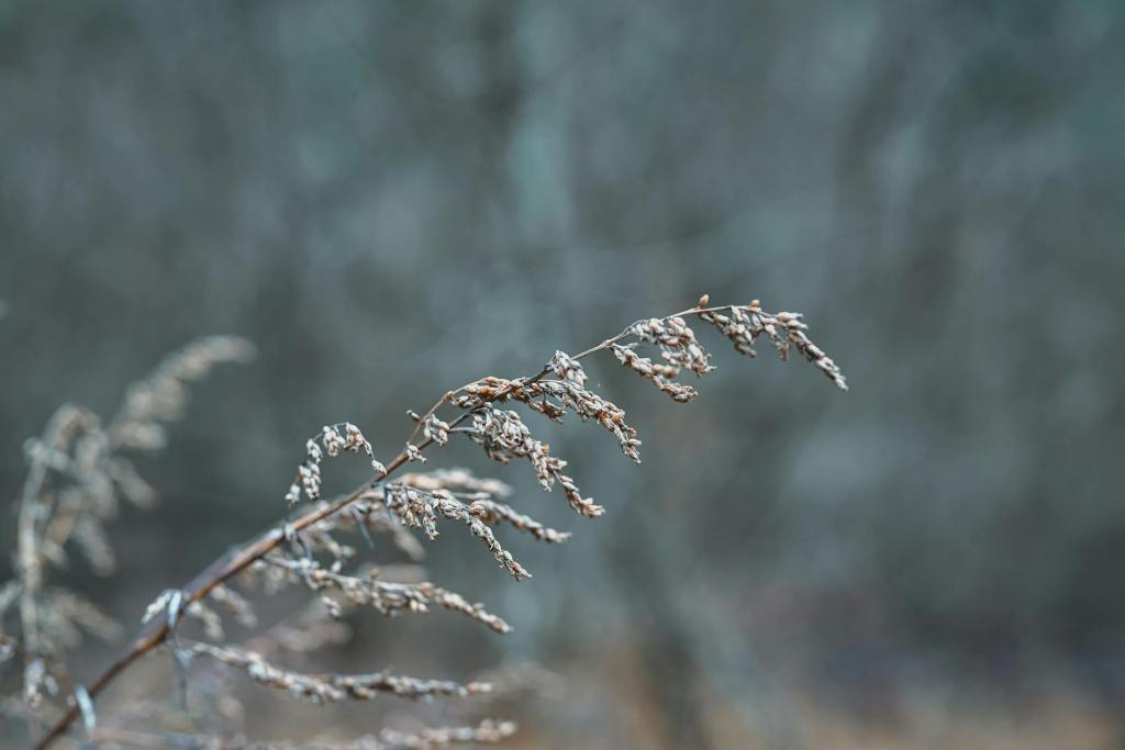 January Gentle Reminder