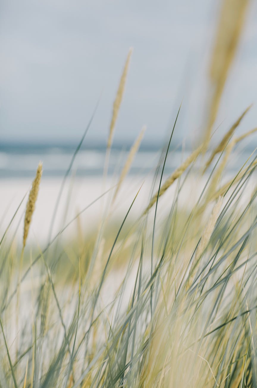 How I Spent My First Grad School Summer & What I Would do Differently